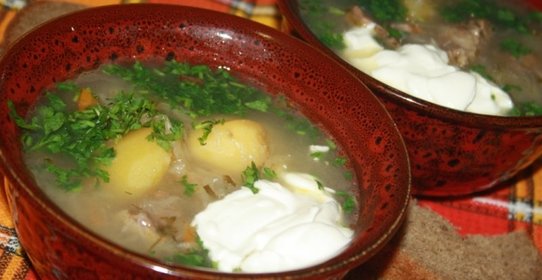 Щи с говядиной и квашеной капустой