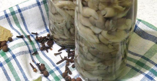 Вешенки маринованные