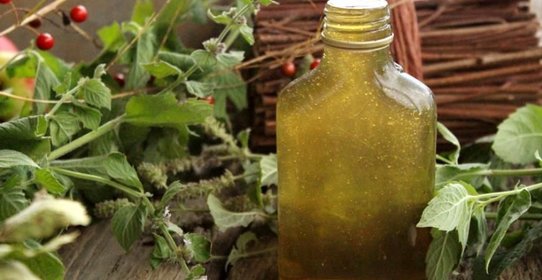 Мятный сироп