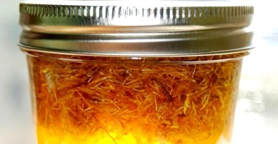 Варенье из одуванчиков без варки