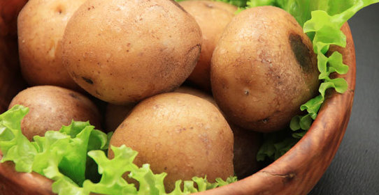 Печеный картофель в Zepter