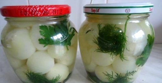 Маринованный репчатый лук на зиму