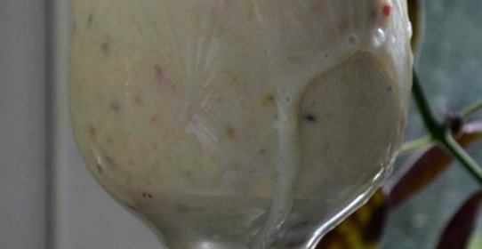 Коктейль молочный с бананом и крыжовником