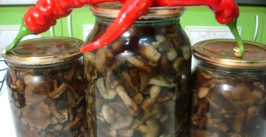 Опята маринованные