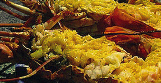 Маринованные лобстеры (омары) на гриле