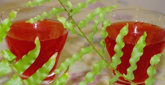 Клюквенный морс из клюквы