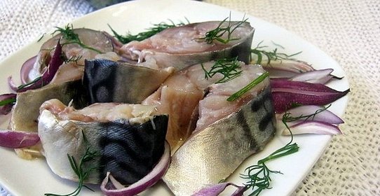 Скумбрия быстрого посола