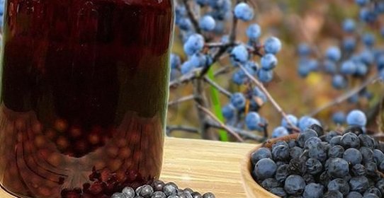 Домашнее терновое вино из терна