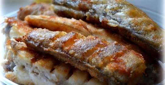 Рыба нототения жареная