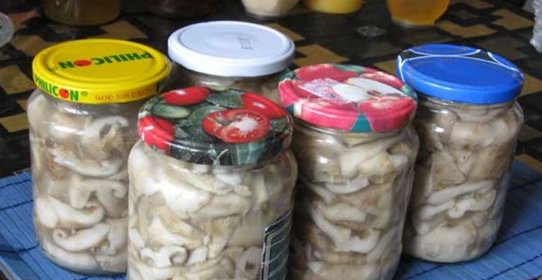 Засолка грибов