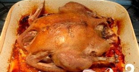 Птица в духовке