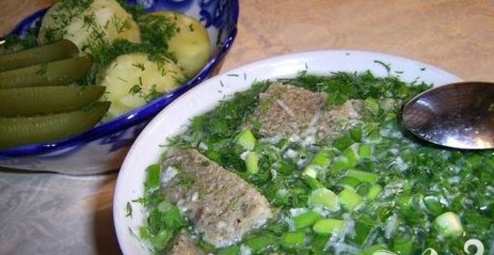 Тюри квасные