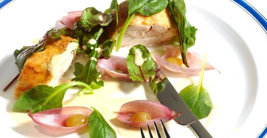 Куриный рулет с маринованным луком и виноградом