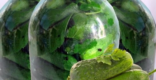 Консервированные малосольные огурцы с водкой на зиму