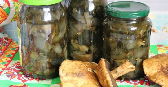 Маринованные моховики