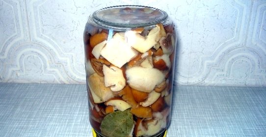 Маринованные маслята без уксуса