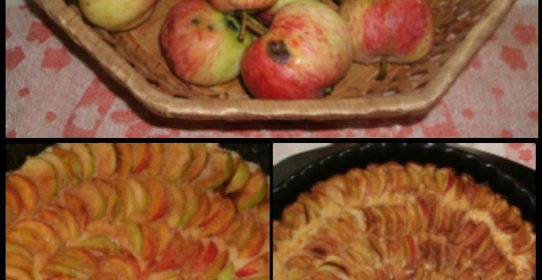 Волшебная шарлотка