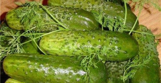 Малосольные огурчики