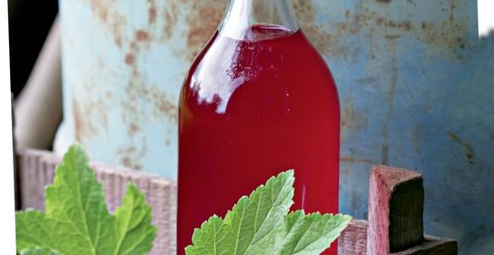 Наливка из брусники