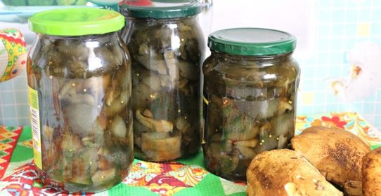 Маринованные моховики на зиму