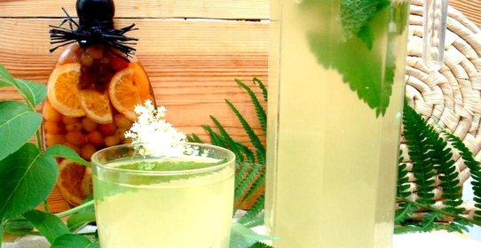 Квас из цветов бузины