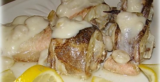 Креветочная рыба Конгрио