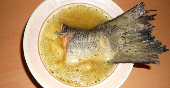 Уха из семги с пшеном