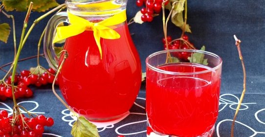 Морс из калины