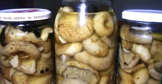 Грузди соленые маринованные