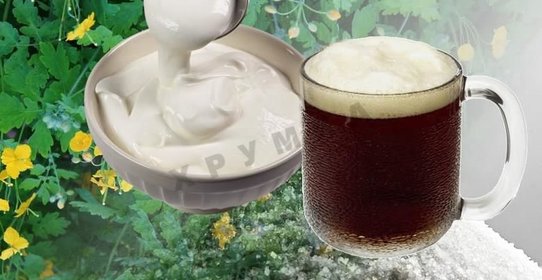 Квас из чистотела