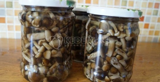 Маринованные опята «Малыши в банке»