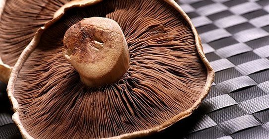 Сушеные грибы в маринаде