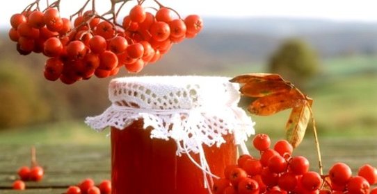 Варенье из лесной рябины