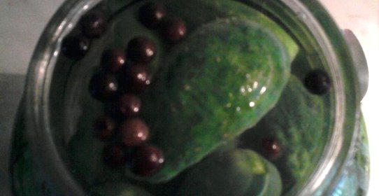 Огурчики и кабачки малосольные суточные