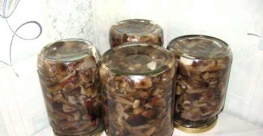 Опята, маринованные в банках