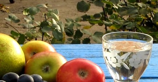 Самогон из винограда в домашних условиях