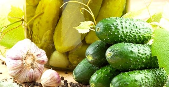 Засолка огурцов холодным способом