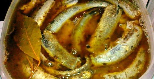 Минога маринованная