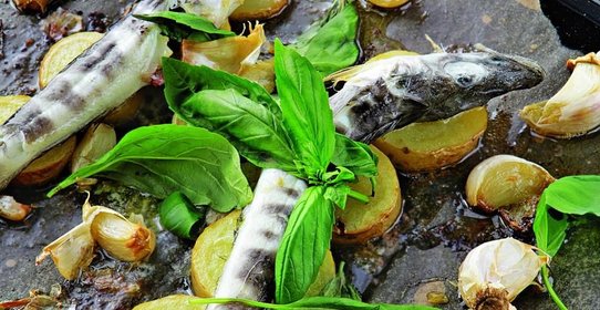 Ледяная рыба с картофелем и чесноком