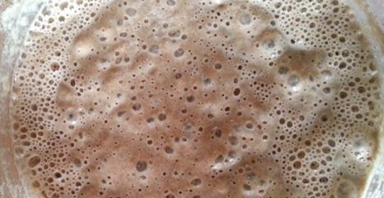Натуральная ржаная закваска