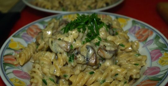 Паста под сливочным соусом