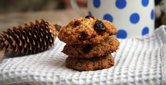 Овсяное печенье с пророщенной пшеницой и клюквой