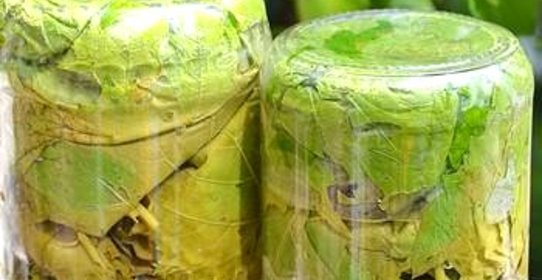 Маринованные виноградные листья для долмы