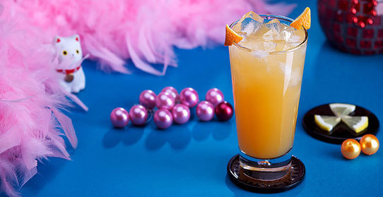 Атомная кошка