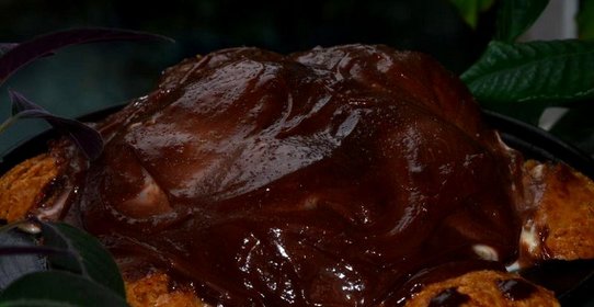 Торт Черепаха