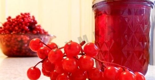 Сироп из калины на зиму