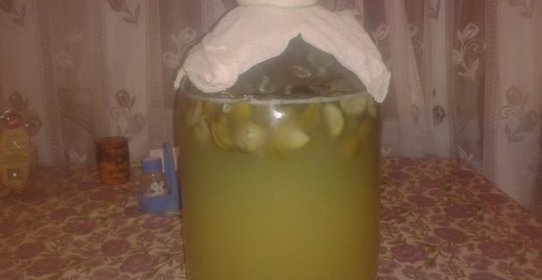 Вино из грецкого ореха