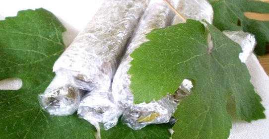 Виноградные листья на зиму