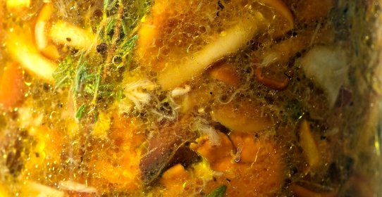 Грибные консервы