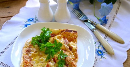 Пицца из бездрожжевого теста в духовке